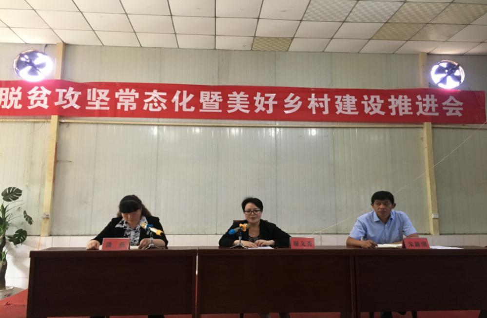 大荔县美丽乡村建设工作,新塬镇脱贫攻坚推进会
