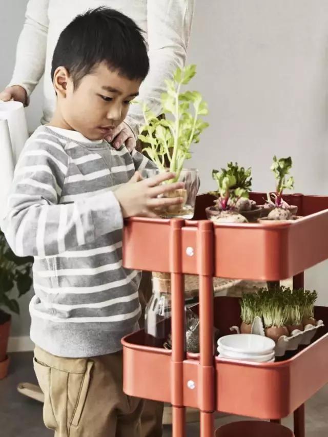 宜家2018年《家居指南》出炉了，700多款新品大揭秘