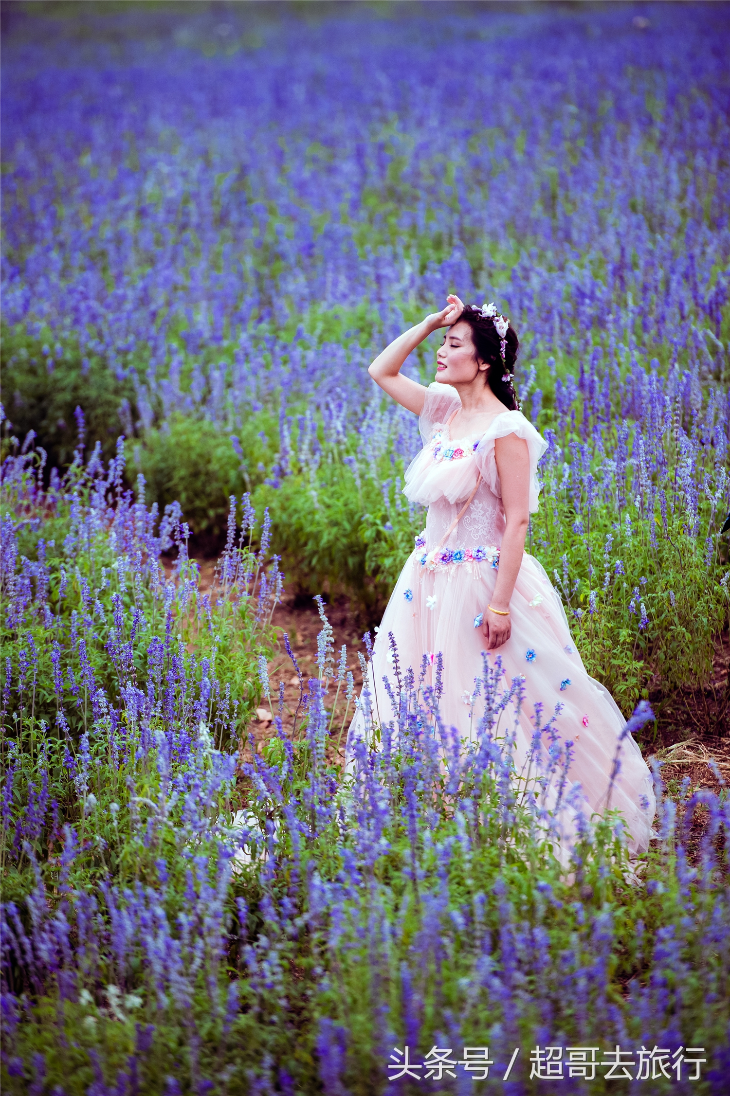 日照花仙子风景区团购,日照花仙子风景区为什么拆了