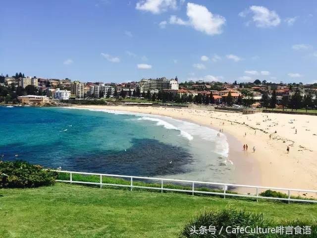 11月20-28日｜邀您参加澳大利亚金豆杯咖啡餐饮之旅