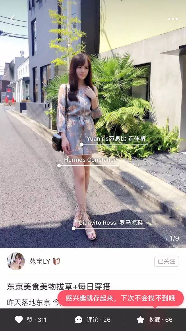 专业买手告诉你网红是如何“借鉴”大牌的