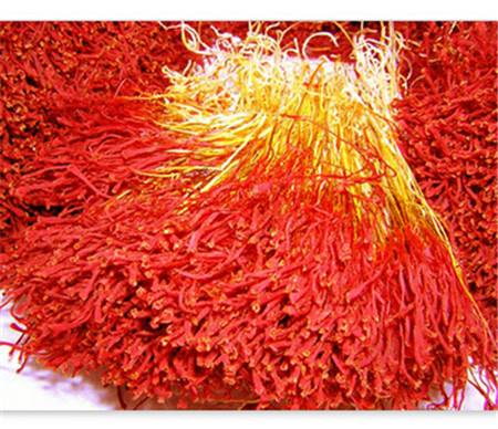 女人的花漂亮又高贵,藏红花被誉为女性之花