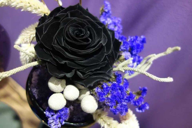 七夕送花送什么颜色的玫瑰花,七夕节送花送哪种玫瑰