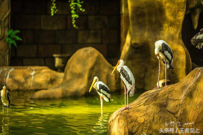 越南最美山庄,越南最美的桃源