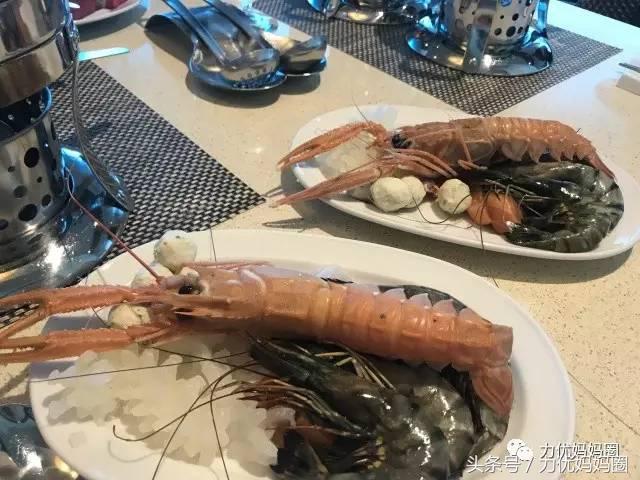 最合适亲子的邮轮游,邮轮游的优缺点