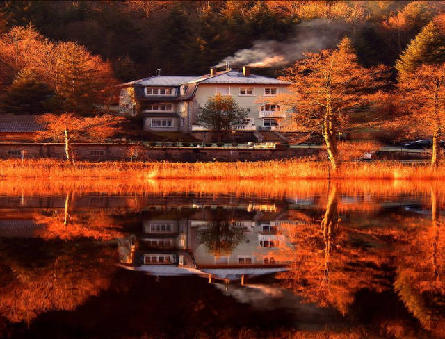 枫叶旅游拍照技巧,春季赏枫叶拍照技巧