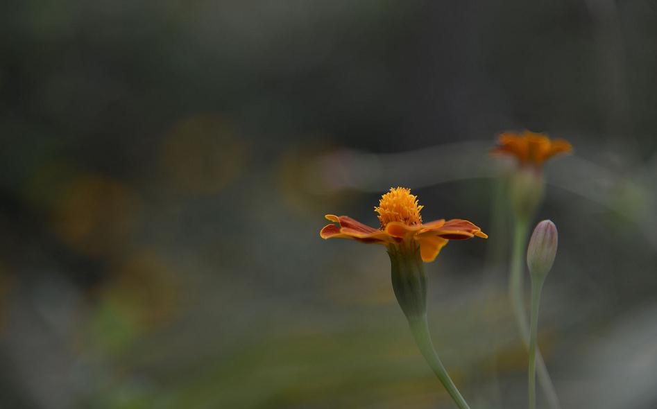处暑养生知识视频,处暑养生小秘诀