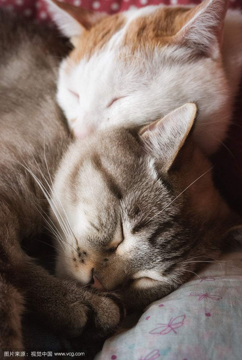 搞笑段子我说的都是大实话,经典搞笑段子我想要吃好吃的