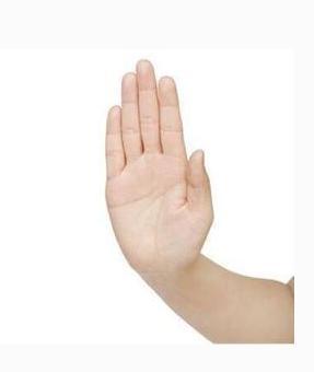 断掌的最佳破解方法,断掌有没有不告捷的