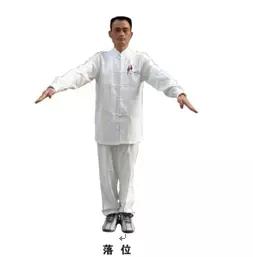 裁判带球走步手势,裁判手势详解视频教程