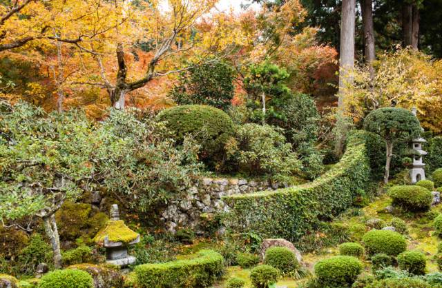 八月份定下的目标,秋季关西旅游攻略