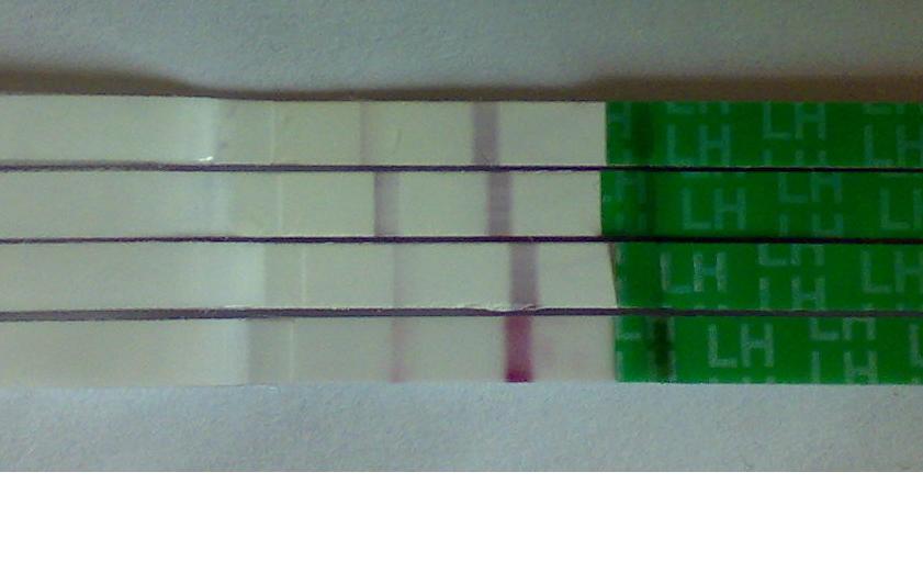各种排卵试纸测评,体温测排卵正确方法