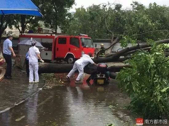 桌边社0824：想在中国找到不用抗生素的鸡，难度很大