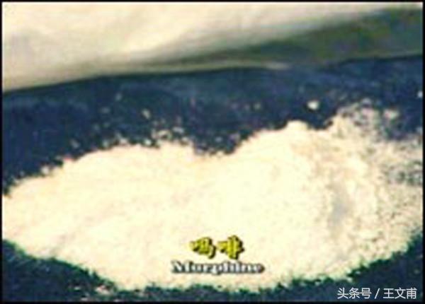 *啡吗**的药理功能是什么？有哪些危害？