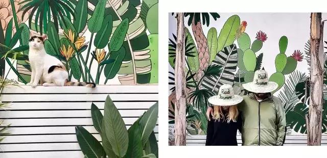 去旅游拍的风景照怎么发朋友圈,怎么给朋友圈的旅游照点评