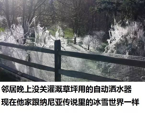 桌边社0824：想在中国找到不用抗生素的鸡，难度很大