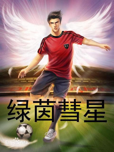 各大著名网文作者的著名小说,网文著名小说排行