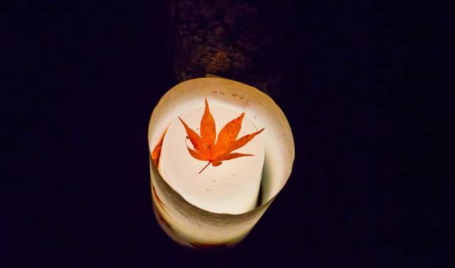 八月份定下的目标,秋季关西旅游攻略