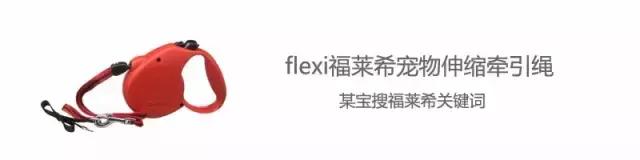 家有毛孩子｜老司机说不买齐这些甭养狗