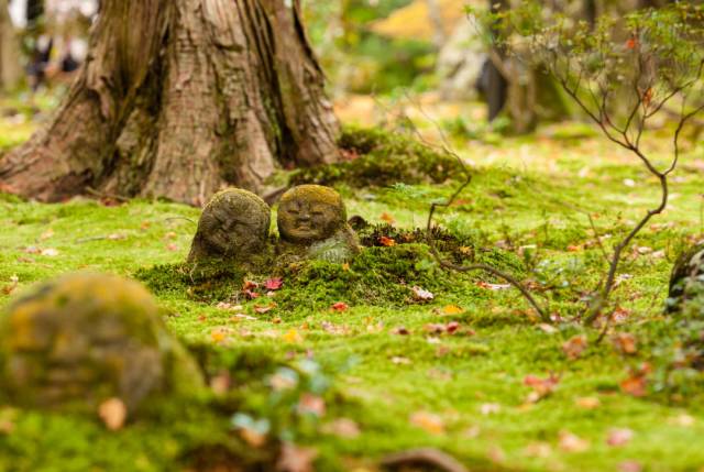 八月份定下的目标,秋季关西旅游攻略