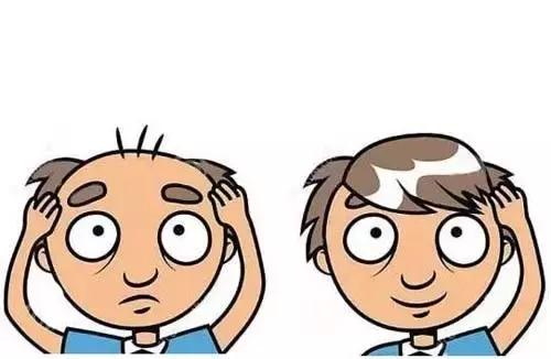 日常吃什么头发长得快又黑又亮密,乌黑浓密头发的食物