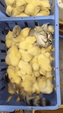 梦想还是要有的没准就实现了呢,梦想还是要有的虽然它很遥远