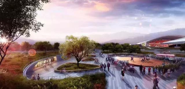 广东省体育职业技术学校足球场,广东肇庆新区专业足球场