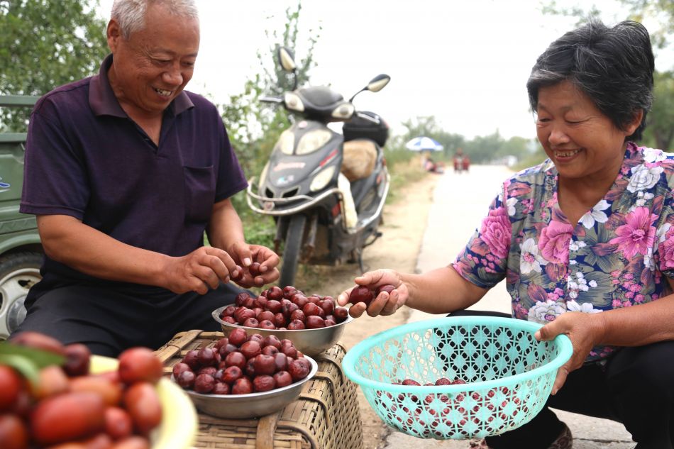 合适在湖南种植的枣子品种有哪些,我国枣树最多的地方