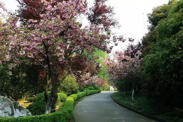 南岸区合适游玩的乡村,南岸乡村旅游