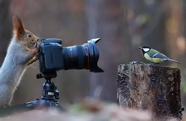 用什么软件能够让照片变得更清晰,有什么办法能够让照片变得更清晰