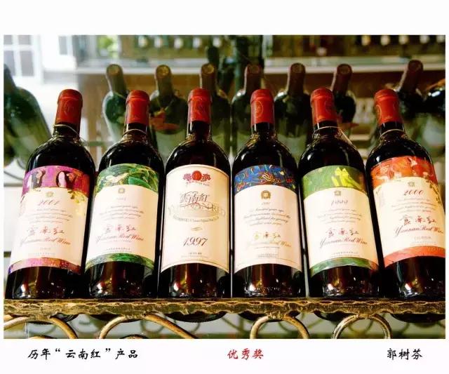 想学电商带货,想学电商去代运营公司能够学到吗