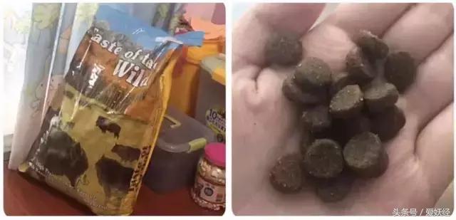 Todayis七夕，这盆狗粮爱妖经替你验过，放心吃吧