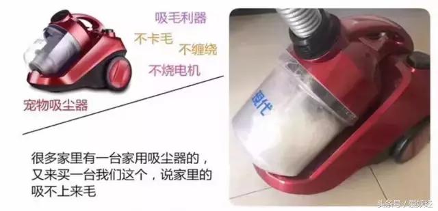 Todayis七夕，这盆狗粮爱妖经替你验过，放心吃吧