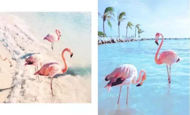 去旅游拍的风景照怎么发朋友圈,怎么给朋友圈的旅游照点评