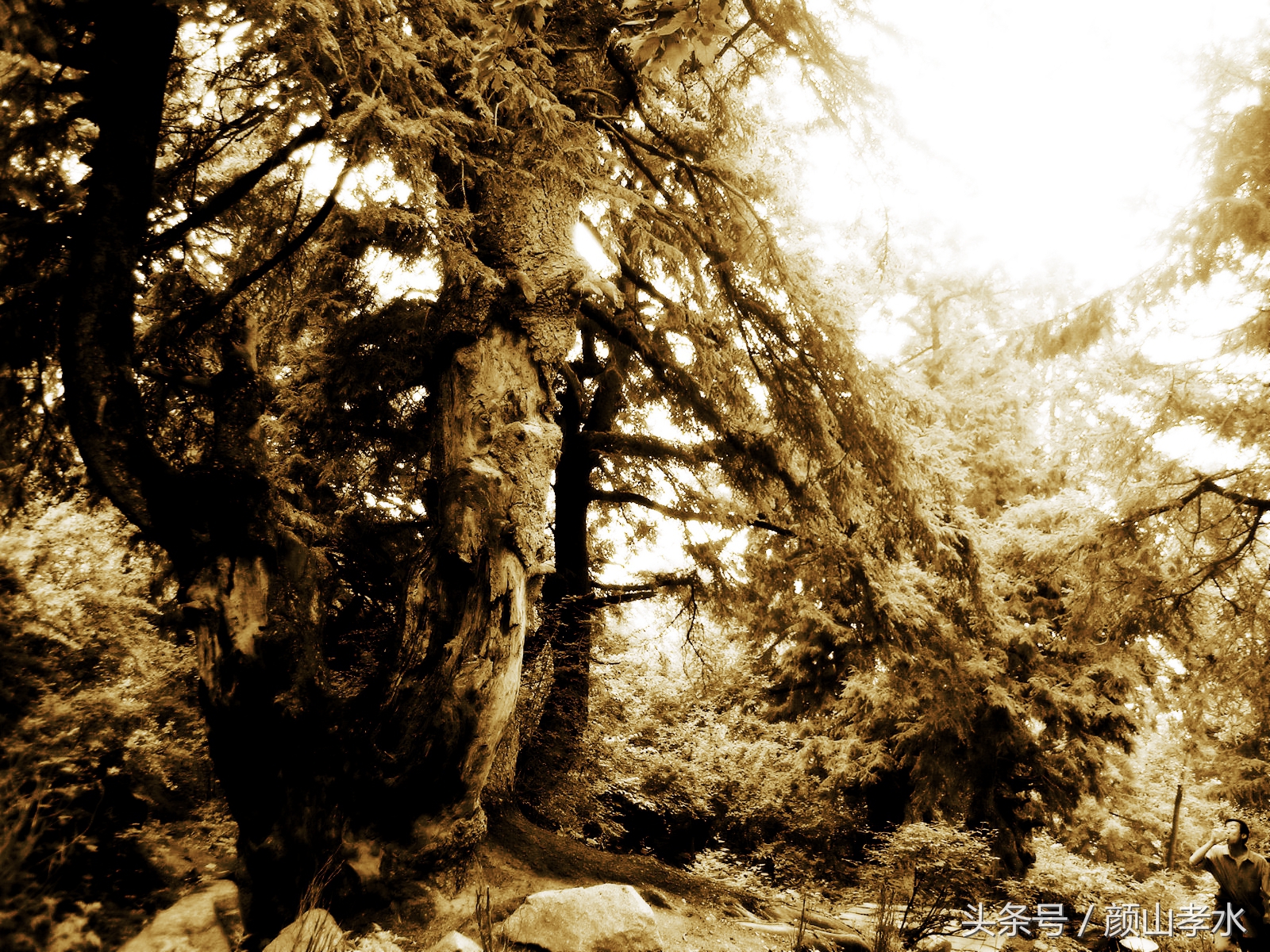 经验青藏高原之2——循化三章