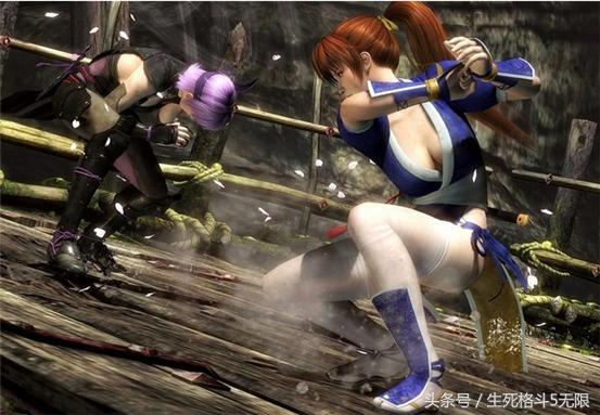 生死格斗5无限控制阵容,生死格斗5全人物介绍