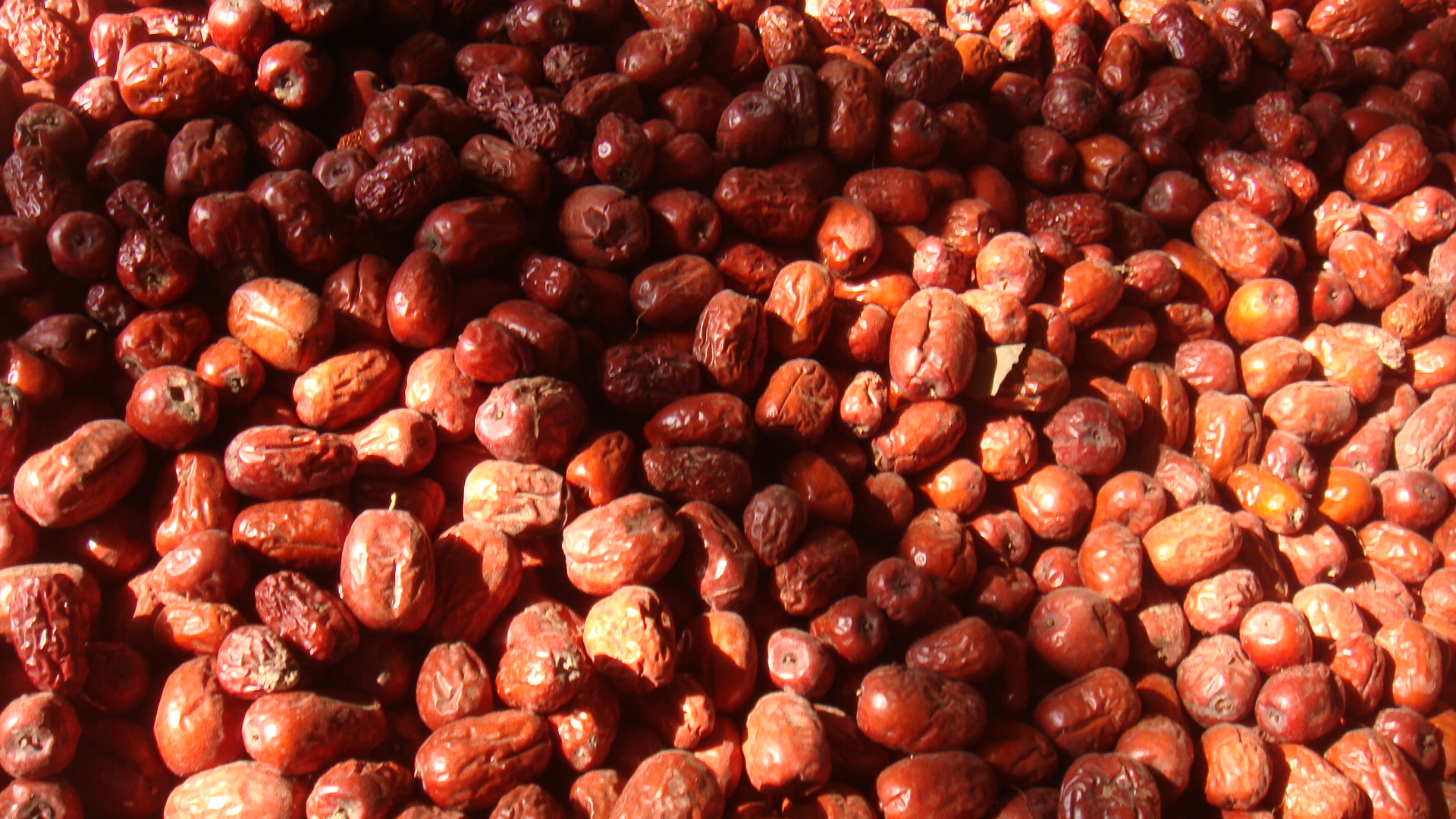 合适在湖南种植的枣子品种有哪些,我国枣树最多的地方