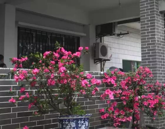 南岸区合适游玩的乡村,南岸乡村旅游