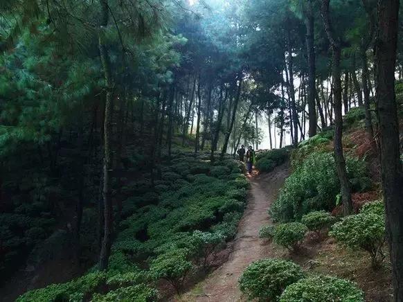 南岸区合适游玩的乡村,南岸乡村旅游