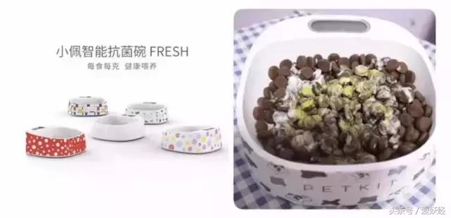 Todayis七夕，这盆狗粮爱妖经替你验过，放心吃吧