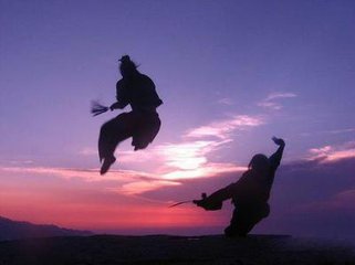 中国武术风采视频,中国武术展现的淋漓尽致