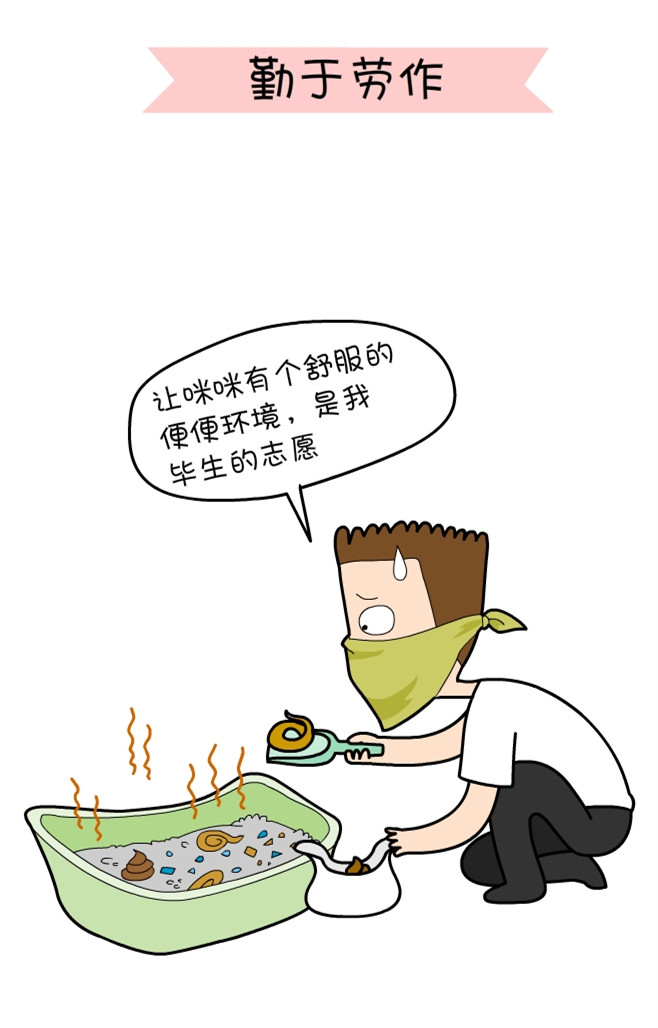关于一个铲屎官和四只猫的漫画,铲屎官照顾猫的漫画