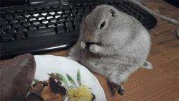 发际线低额头窄小脸合适什么发型,40岁小脸发型女2021流行发型