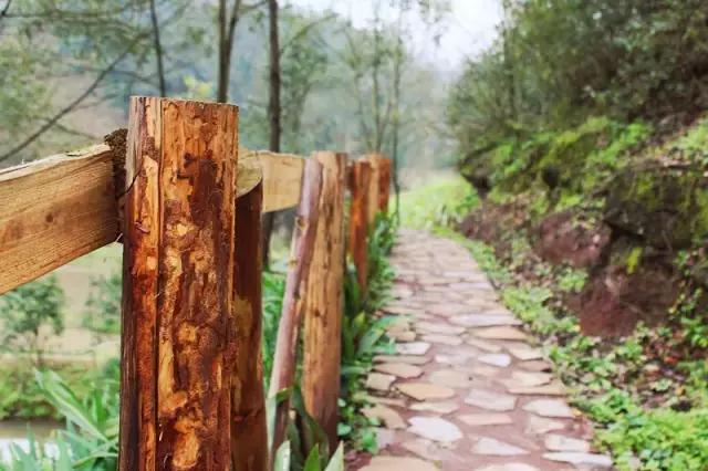 南岸区合适游玩的乡村,南岸乡村旅游