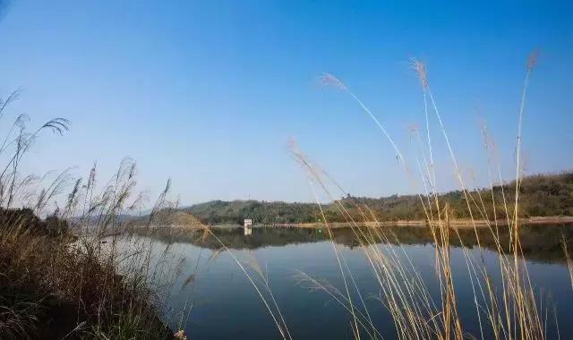 南岸区合适游玩的乡村,南岸乡村旅游