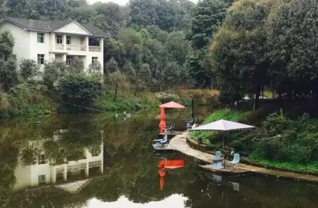 南岸区合适游玩的乡村,南岸乡村旅游