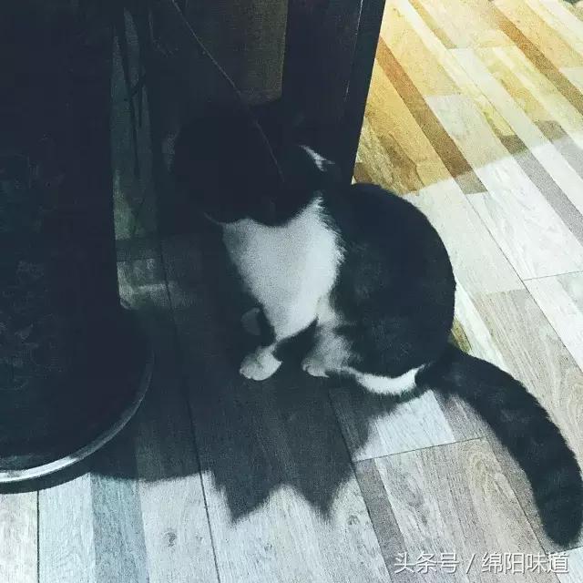 满足你的全部少女心,满足你所有少女心