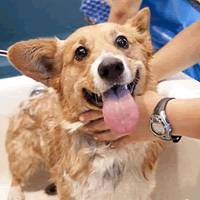 福清裕荣汇黑卡,福清黑卡