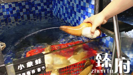 厦门味道生猛的螃蟹让人胃口大开,10块钱一只的螃蟹到底是什么味道