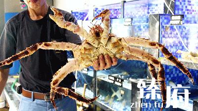 厦门味道生猛的螃蟹让人胃口大开,10块钱一只的螃蟹到底是什么味道